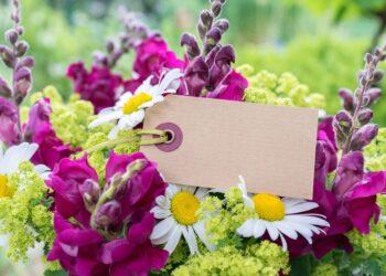 Atvirukas gimtadieniui | pixabay.com nuotr.