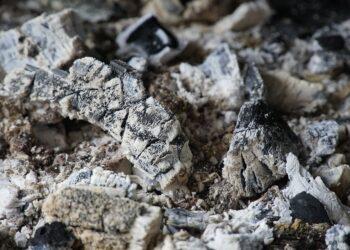 Malkos, pelenai | pixabay.com, Beauty of nature nuotr.