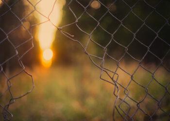 Narvas | zum.lrv.lt nuotr.