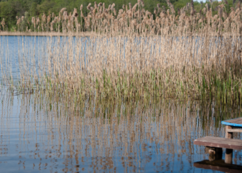 Pakrantė, vanduo | am.lrv.lt nuotr.