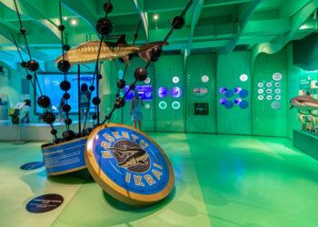 Lietuvos muziejuose pernai apsilankė beveik 5 mln. lankytojų | Lietuvos jūrų muziejaus nuotr.