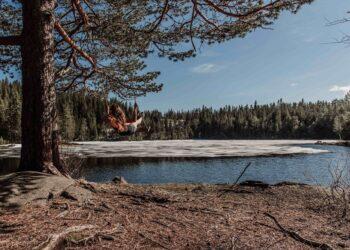 Kvies „Įsupkim 1002 ežerus vasarai“ sumanymas | reddoor.lt nuotr.