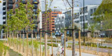 Medžių sodinimas | S. Žiūros nuotr.