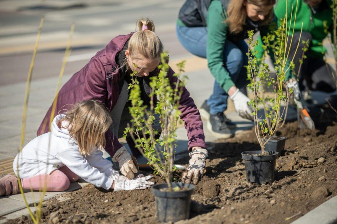 Sodinukai | S. Žiūros nuotr.