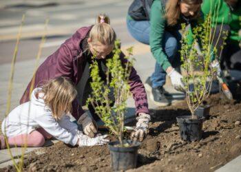 Sodinukai | S. Žiūros nuotr.