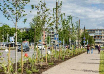 Medžiai | vilnius.lt nuotr.