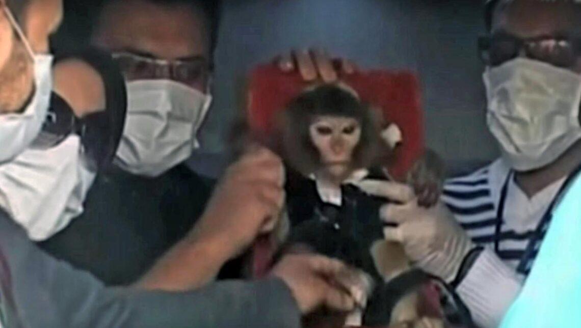 Iranas į kosmosą sėkmingai išsiuntė beždžionėlę | Alkas.lt ekrano nuotr.