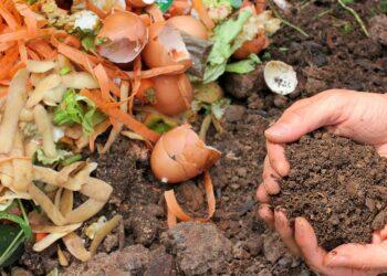 Kompostas | pixabay.com, Mel Green FR nuotr.