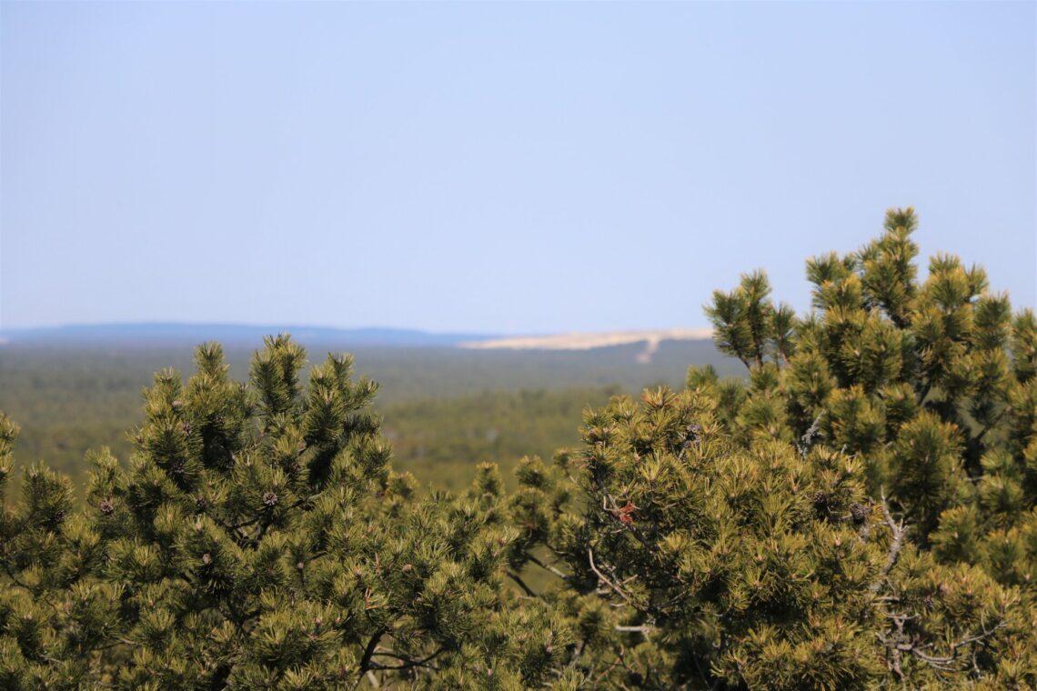 Neringa | Deniso Nikitenkos nuotr.