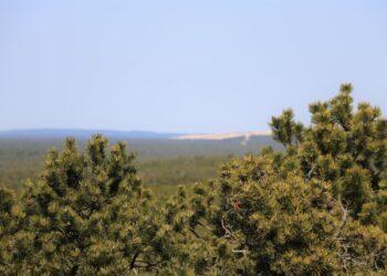 Neringa | Deniso Nikitenkos nuotr.