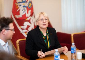 Seimo narė A. Kubilienė: „Demografinių problemų sprendimas – tai vertybiniai pasirinkimai“ | V. Chorna, Seimo kanceliarijos nuotr.