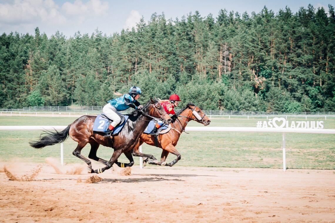 Dzūkijos žirgynas | Dzūkijos žirgyno nuotr.