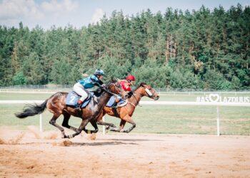 Dzūkijos žirgynas | Dzūkijos žirgyno nuotr.