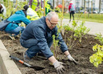 Augalų sodinimas | S. Žiūros nuotr.