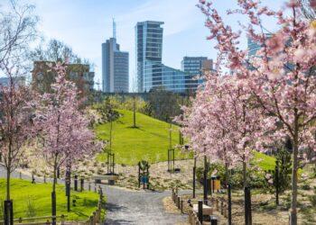 Japoniškas sodas | S. Žiūros nuotr.
