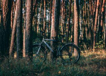 Dviratis | neringa.lt nuotr.