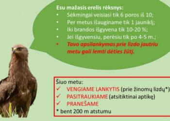Saugokime ir tyliai apeikime paukščių lizdus | vstt.lrv.lt nuotr.