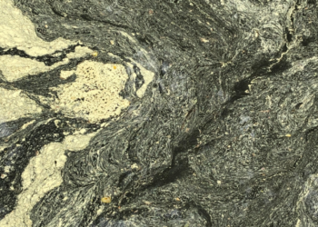 Žiedadulkės gali pakeisti vandens telkinių spalvą | aad.lrv.lt nuotr.