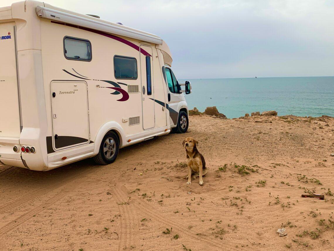 Kemperis | V. Valiukevičiaus nuotr.