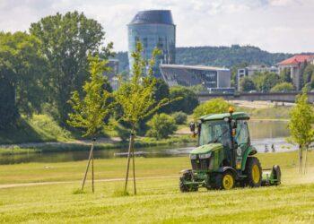 Šienavimas | vilnius.lt nuotr.