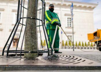 Medžių laistymas | vilnius.lt nuotr.