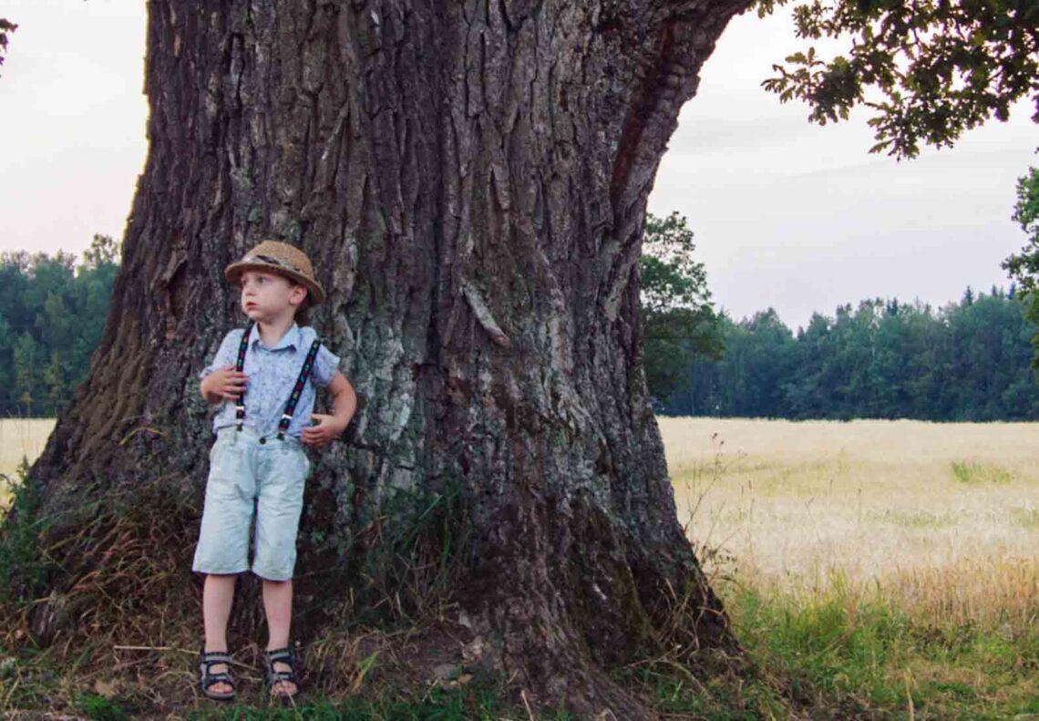 Ąžuolai | rengėjų nuotr.