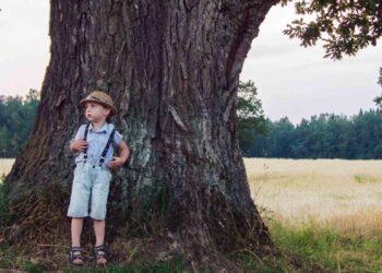 Ąžuolai | rengėjų nuotr.