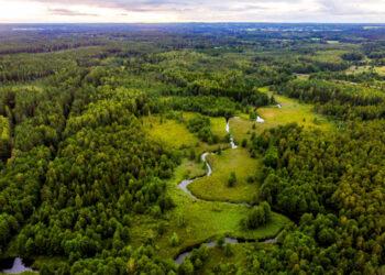 Atsiranda galimybė steigti saugomas teritorijas asmenų prašymu | vstt.lrv.lt nuotr.