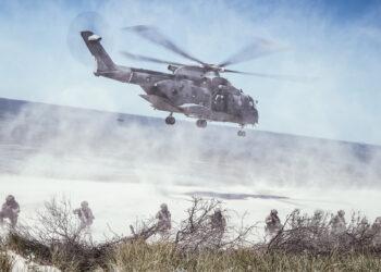 Tarptautinės pratybos | KAM, A. Čemerkos nuotr.