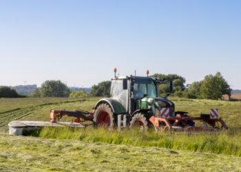 Šienavimas | am.lrv.lt nuotr.