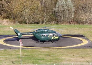 Sraigtasparnis | vrm.lrv.lt nuotr.