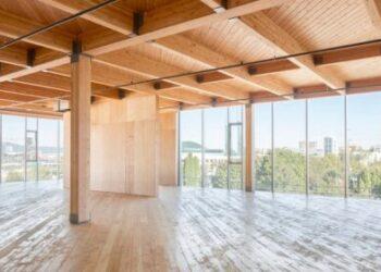 Mediniai daugiaaukščiai: kodėl švedams ir latviams galima, o lietuviams – ne? | sa.lt nuotr.