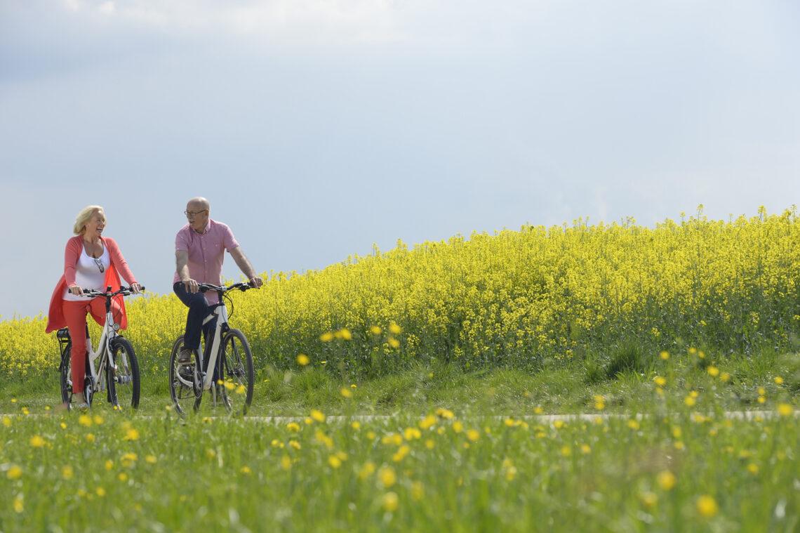 Dviračių takas Olandijoje | „Novaturo“ nuotr.