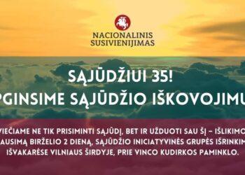 Apginsime Sąjūdžio iškovojimus! | NS nuotr.