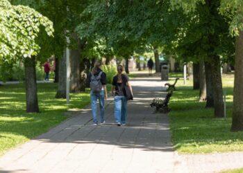 Bernardinų sodas | S. Žiūros nuotr.
