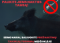 Naktinių taikiklių įteisinimui priešinasi gamtininkai ir patys medžiotojai | Baltijos aplinkos forumo nuotr.