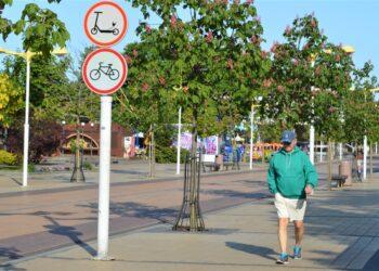 Kelio ženklai | palanga.lt nuotr.