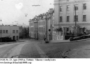 Kultūros paveldo departamento pozicija dėl Basanavičiaus g. 14A: paveldo sutvarkymas ir želdinių išsaugojimas – suderinami | kpd.lrv.lt nuotr.