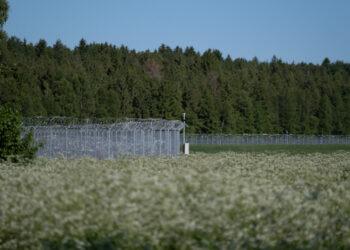 Pasienis | lrv.lt nuotr.