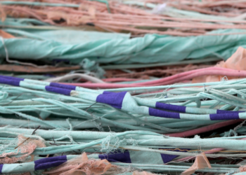 Tekstilė | am.lrv.lt nuotr.