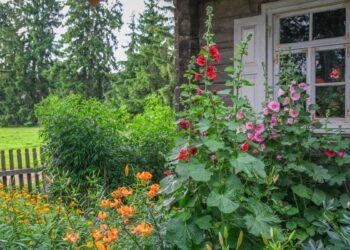 Kleboniškių muziejuje – paskaita apie liaudies mediciną | L. Prascevičiūtės nuotr.