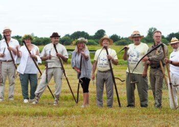 Nacionalinis-šienpjovių-čempionatas | V. Ščiavinsko nuotr.