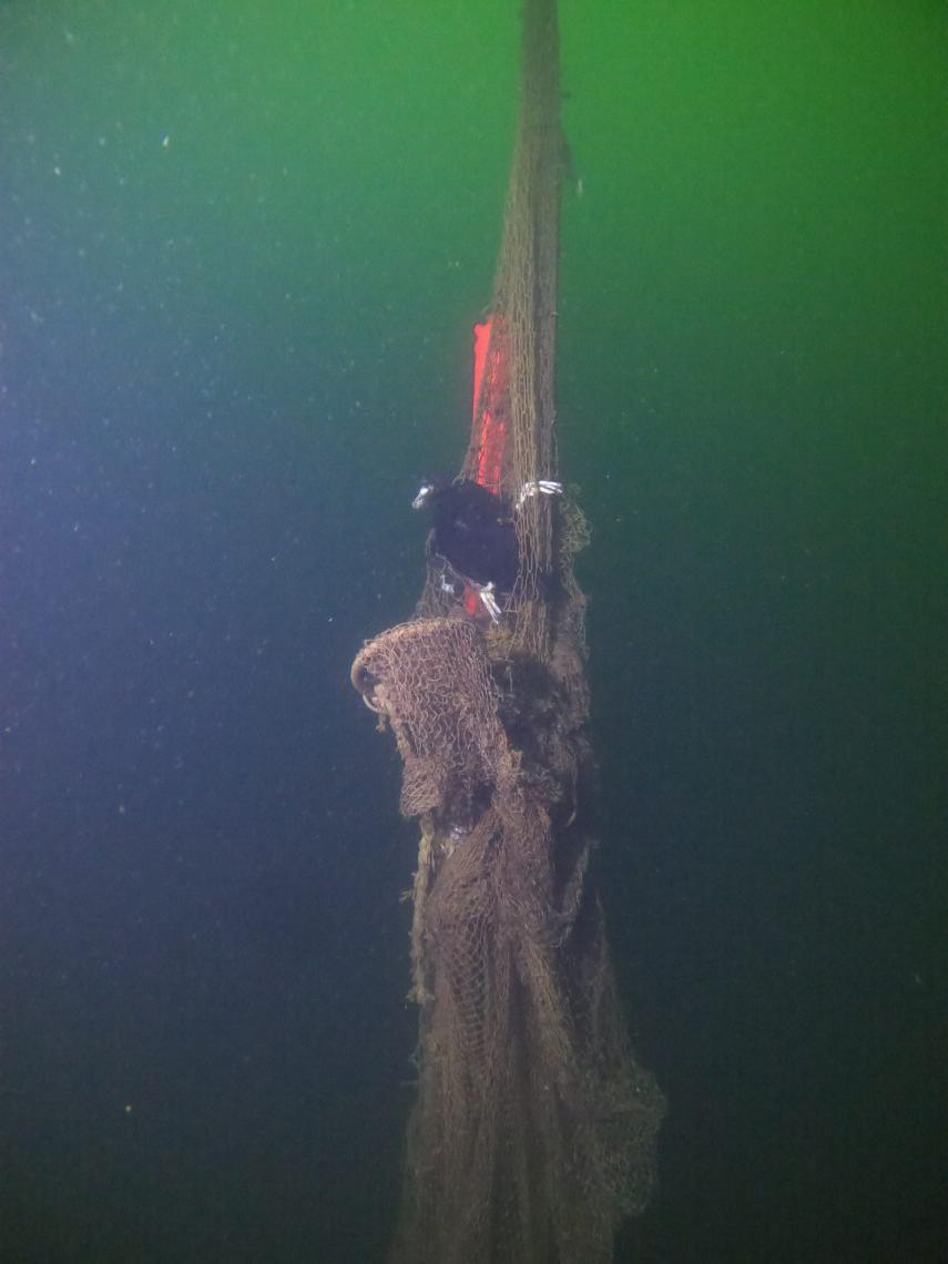 Kokiomis atliekomis nuklotas jūros dugnas? | „Nardymo akademijos“ nuotr.