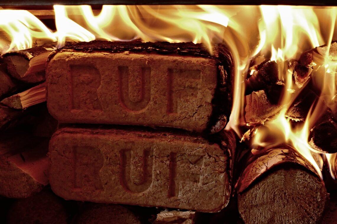 Nuo ko priklauso briketų kaina | pixabay.com nuotr.