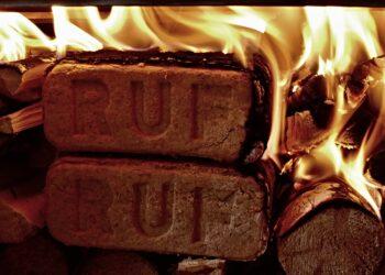 Nuo ko priklauso briketų kaina | pixabay.com nuotr.