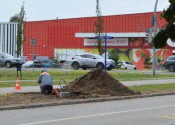 Apšvietimo atnaujinimas | palanga.lt nuotr.