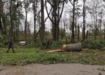 Žagarei skubiai reikia savanorių pagalbos | vstt.lrv.lt nuotr.