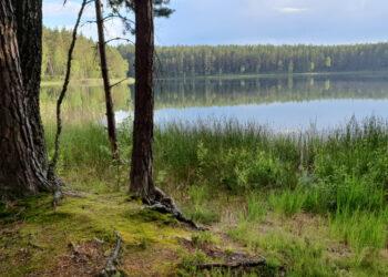 Paviršinių vandens telkinių būklė kelia susirūpinimą | lrv.lt nuotr.