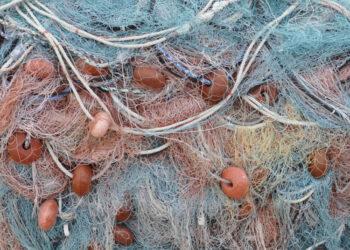 Tinklai | am.lrv.lt nuotr.