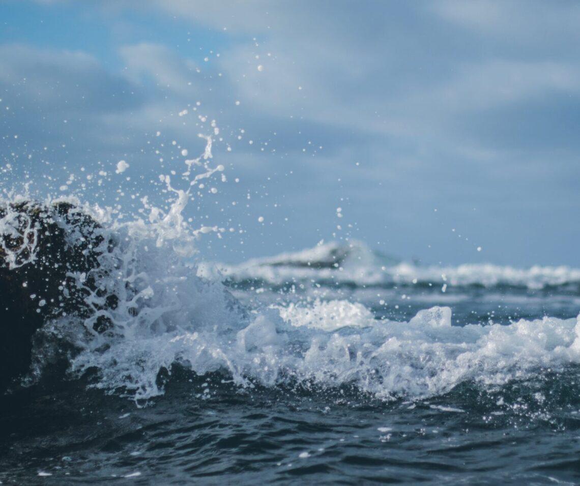 Jūra | KU Jūros tyrimų instituto nuotr.